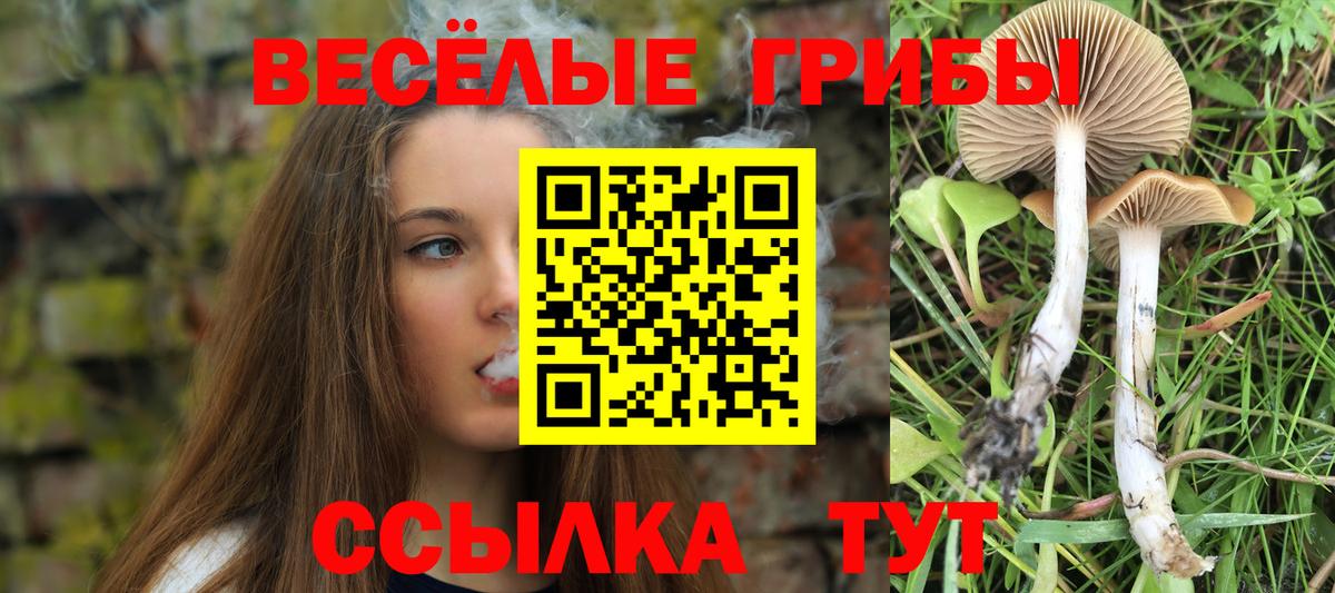 наркотики  Галлюциногенные грибы мицелий  Вход с VPN  Кропоткин 