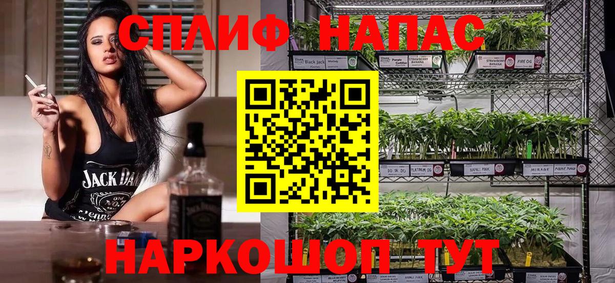 Бошки марихуана MAZAR Кропоткин